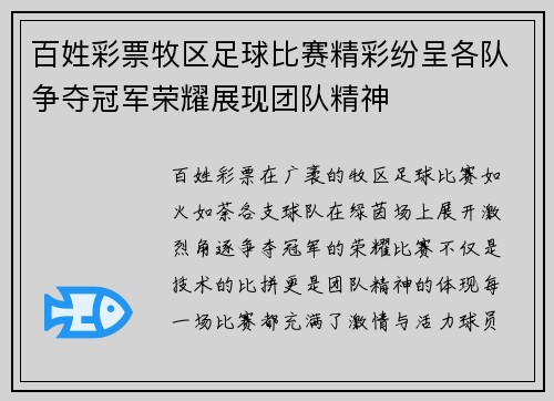 百姓彩票牧区足球比赛精彩纷呈各队争夺冠军荣耀展现团队精神